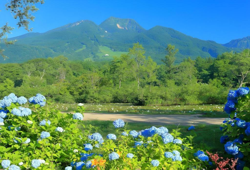 Akakura Park Hotel Mioko Kültér fotó